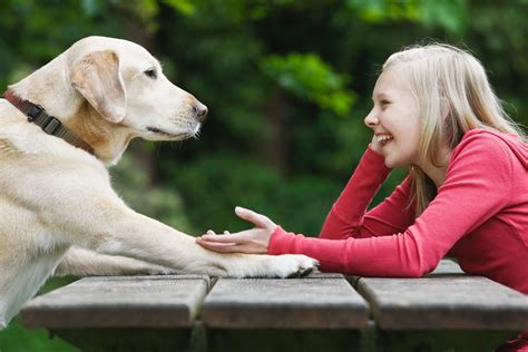 Can Dogs Talk To You The Science Behind Canine Communication