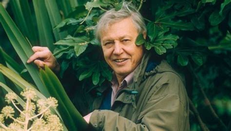 This biography offers detailed information about his childhood, life, works, achievements, trivia and timeline. On not liking David Attenborough - Luke McKernan