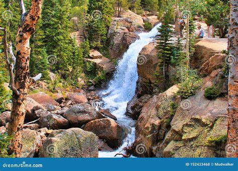 Rocky Mountain National Park At Alberta Falls Stock Photo Image Of