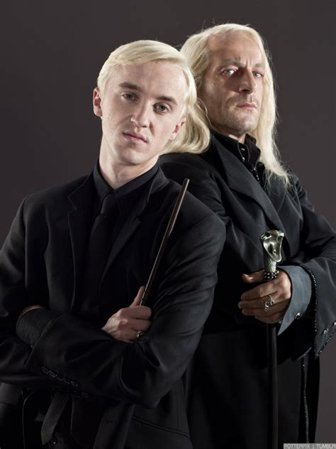 Draco malfoy's wand was 10 long, made of hawthorn wood, and had a unicorn hair core. Not a Flaw: Draco Malfoy and the Veelas | Potterflaw