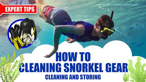Cleaning Snorkel Gear Expert Tips Step By Step Guide