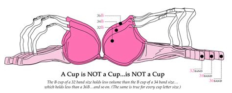 What Do I Need To Know About Band And Cup Sizing