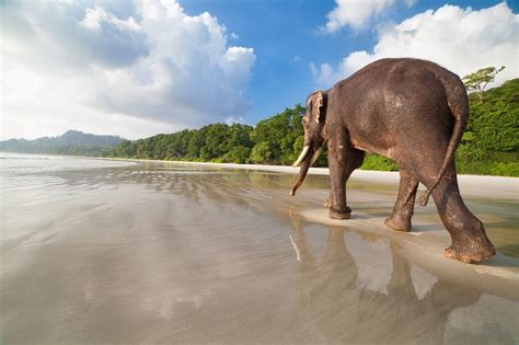 Top Things To Do In Andaman And Nicobar Islands Attraction