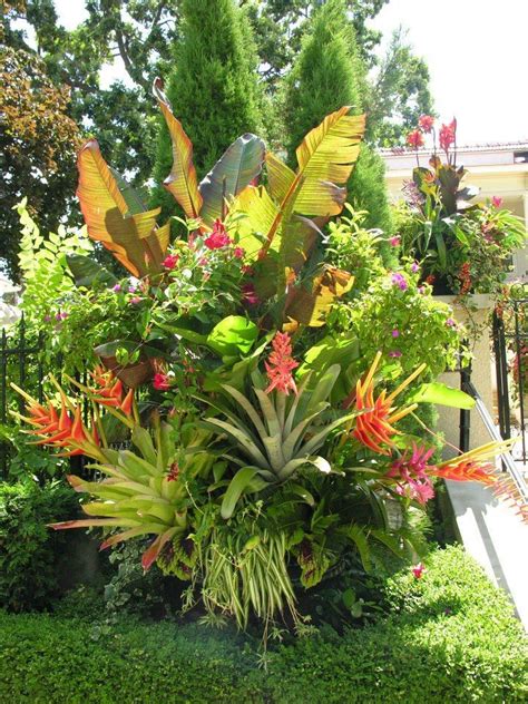 Tropical Plants For Landscaping Yard Ideas Tropical Backyard