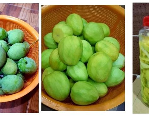 Saya rasa saya ingin mencari resepi cara membuat bubur butir nangka ini. Resepi dan Cara Membuat Bubur Butir Nangka - My Resepi