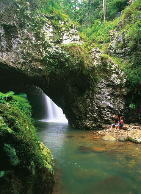 Natural Arch Waterfall In Springbrook National Park Gold
