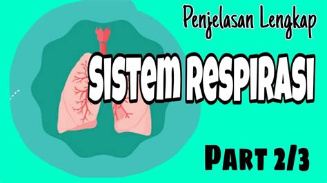Penjelasan Lengkap Sistem Respirasi Part 2 3 YouTube