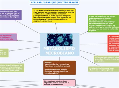 Metabolismo Microbiano Mind Map Sexiz Pix