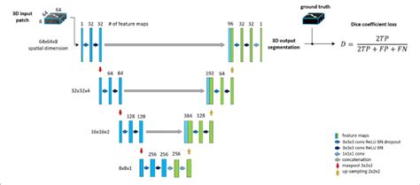 The Baseline Architecture A Standard Unet Architecture Coined Unet