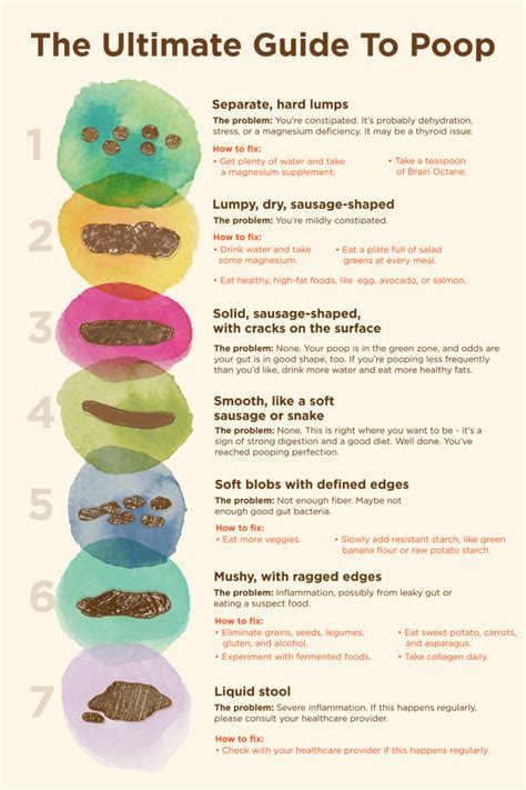This Poop Chart Identifies Different Types Of Poop And What They Mean