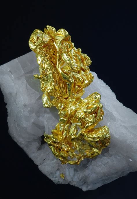 Gold Crystals To 22 Cm In Length Grew In An Open Vug In A Quartz Vein