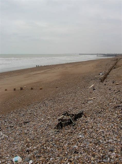 Shoreham Naturist Beach © Simon Carey Geograph Britain And Ireland