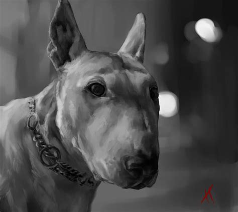 Draw Your Pet Digitally In A Semirealistic Style By Vivecslanze Fiverr