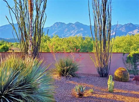 21 Desert Landscape Ideas Yard Designs Designing Idea