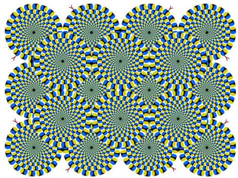 11 Optical Illusions That Will Make Your Brain Hurt Daily High Club