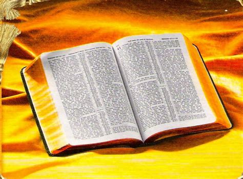 Elviene La Biblia Y Su InspiraciÓn 1er Estudio Bíblico 3ª Entrada