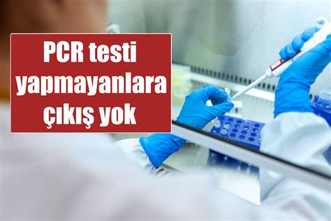 Oluşan viral rna miktarıyla orantılı olarak artan floresan boya ile probların verdiği sinyal izlenir. PCR testi yapmayanlara çıkış yok