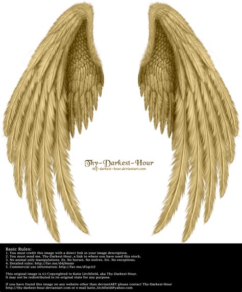 Winged Fantasy V2 Golden Wings Drawing Angel Wings Drawing Wings Art