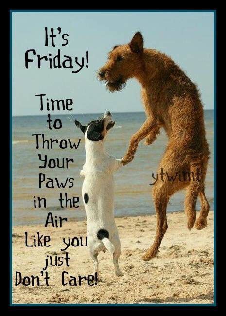 Its Friday Throw Your Paws Up Friday Quotes Humor Friday Meme Happy