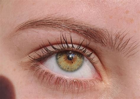 What Makes Hazel Eyes Unique Facts To Know Ttdeye