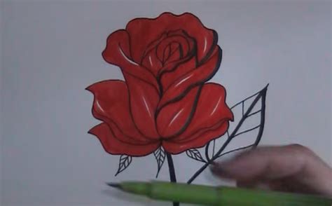 Kako Nacrtati CveĆe Slika Kako Nacrtati Cvece 41
