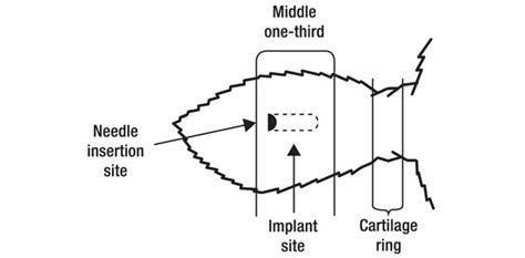 Implant Training Checks Are Additive For Economic Success Progressive Cattle Ag Proud