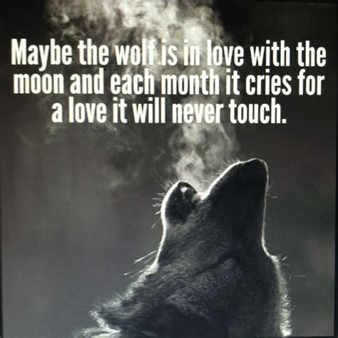Pin on wolf