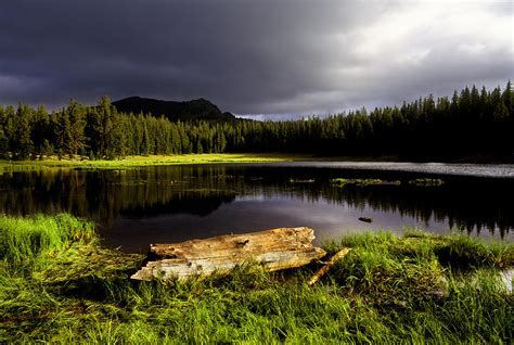 Log And Lake Photograph By Grant Sorenson Fine Art America