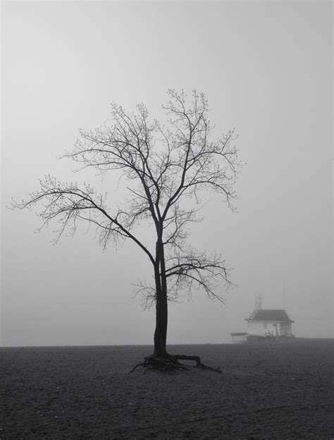 Cherry Beach In Fog Peter Bowers Flickr