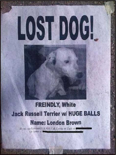 20 Funny Lost And Found Pet Posters Losing A Dog Losing A Pet Quotes