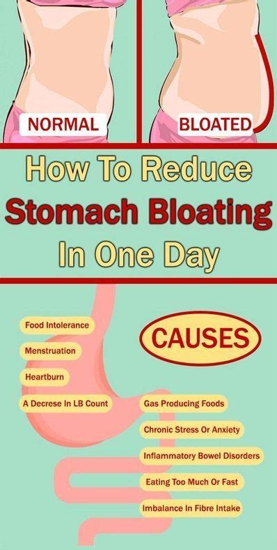 how to reduce bloating complete howto wikies