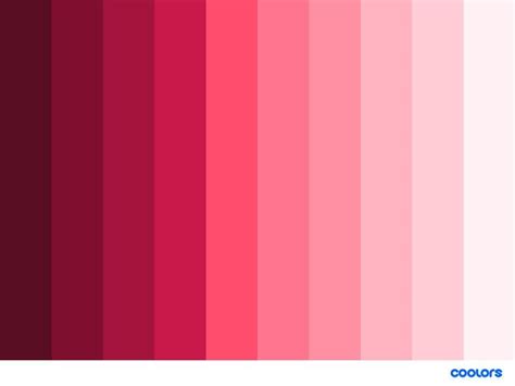 Pink Monochromatic Color Palette Color Palette Pink Monochromatic