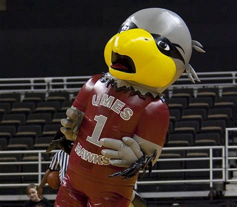 Umes Harry The Hawk Named Among Best College Mascots