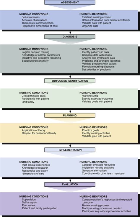 Implementing The Nursing Process Standards Of Practice And