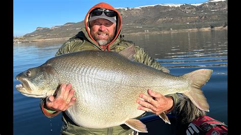 Angler Catches Likely World Record Lake Trout Field And Stream