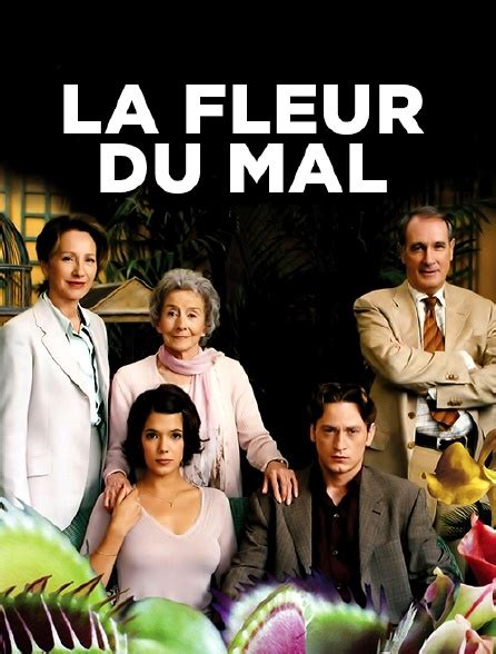 Olive is a blend of lab, hound, beagle, hope and joy. La fleur du mal en Streaming - Molotov.tv