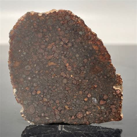 Feuille De Chondrite Carbonée Cv3 Nwa 13569 Avec Cai Catawiki