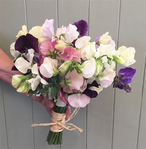 A June Bouquet Of British Grown Sweet Peas Tied With Raffia Sweet
