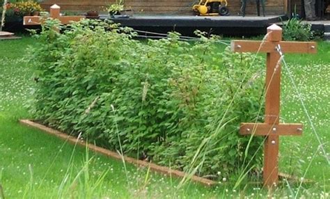 We even made a video for you. Wasilla Alaska Garden Adventures: About Chateau Listeur ...