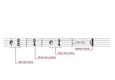 The vertical lines drawn across the staff to indicate the measures in a musical composition.it divides the music staff into measures<br><br>the vertical lines drawn across the staff to indicate the measures in a musical composition. ARTS & ARCHITECTURE :: MUSIC :: MUSICAL NOTATION :: TIME ...