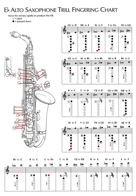 chart baritone saxophone 12 scales poster for sax every note in any key muziekinstrumenten orkest