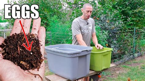 How To Make A Worm Composting Bin Quick Simple And Inexpensive