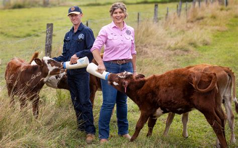 Tommerup Dairy Farm Named In Farmer Of The Year Awards Australasian