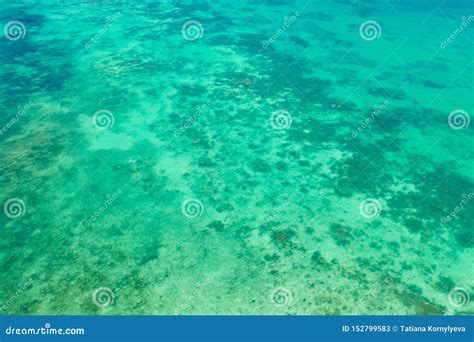 Arrecifes De Coral Y Atolones En El Mar Tropical Visión Superior