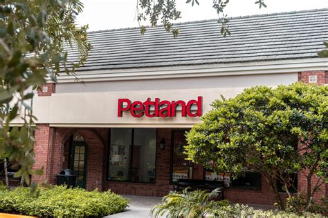 Home - Petland Florida