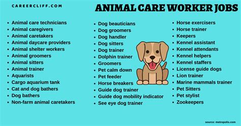 What Is The Highest Paying Animal Jobs - TERELET