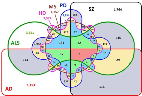 Venn Diagram 6 Circles Information Visualization Venn Diagram