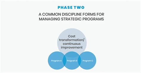 What Is Shibumi Learn Strategic Program Portfolion Management