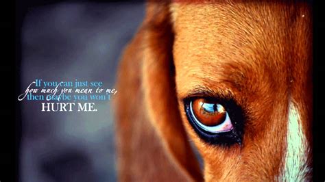 Animal Abuse Psa Commercial - YouTube