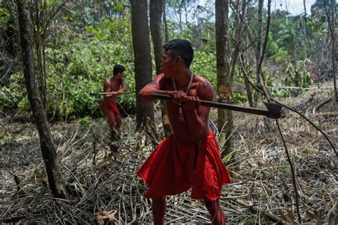 Beautiful Photos Of Isolated Tribe In Remote Amazon Rainforest With Mining Companies Edging